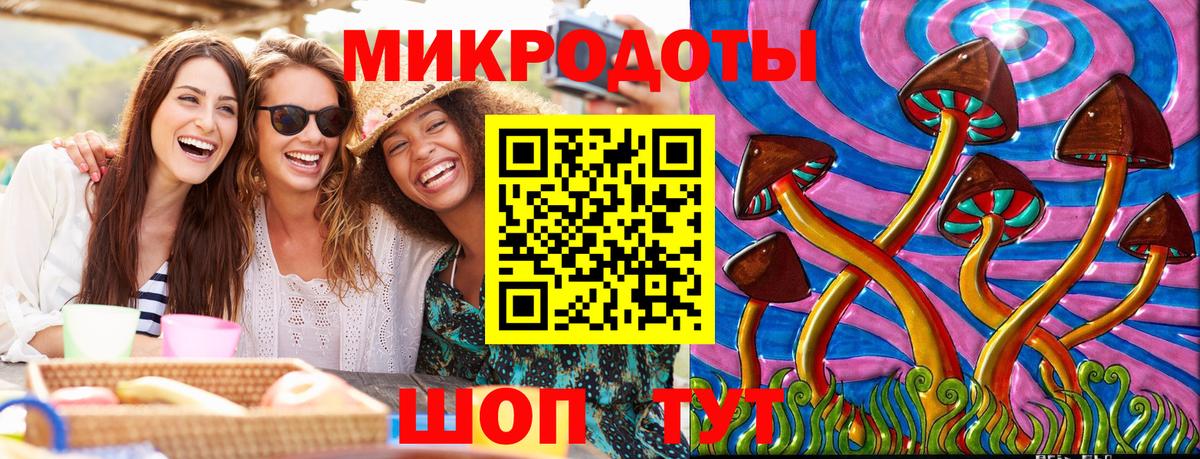 Псилоцибиновые грибы мухоморы Кингисепп