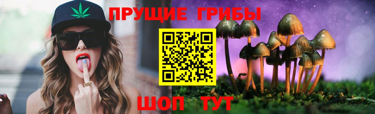 Кингисепп  Галлюциногенные грибы MAGIC MUSHROOMS  Вход с VPN 